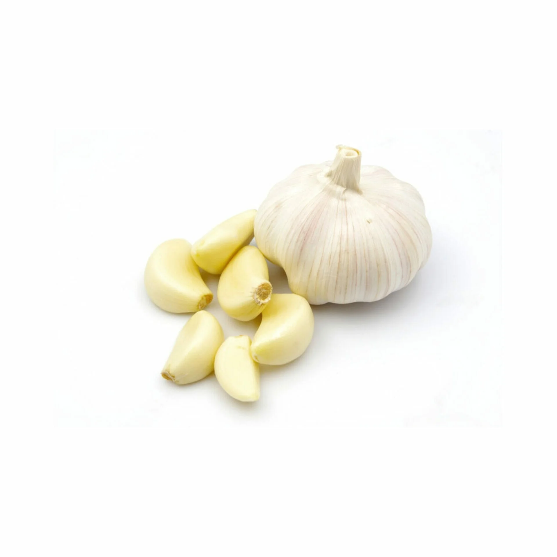 Knoflook per bolletje - Afbeelding 2