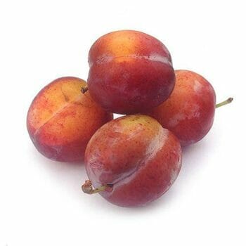 Reine Victoria pruimen NL 500 gram