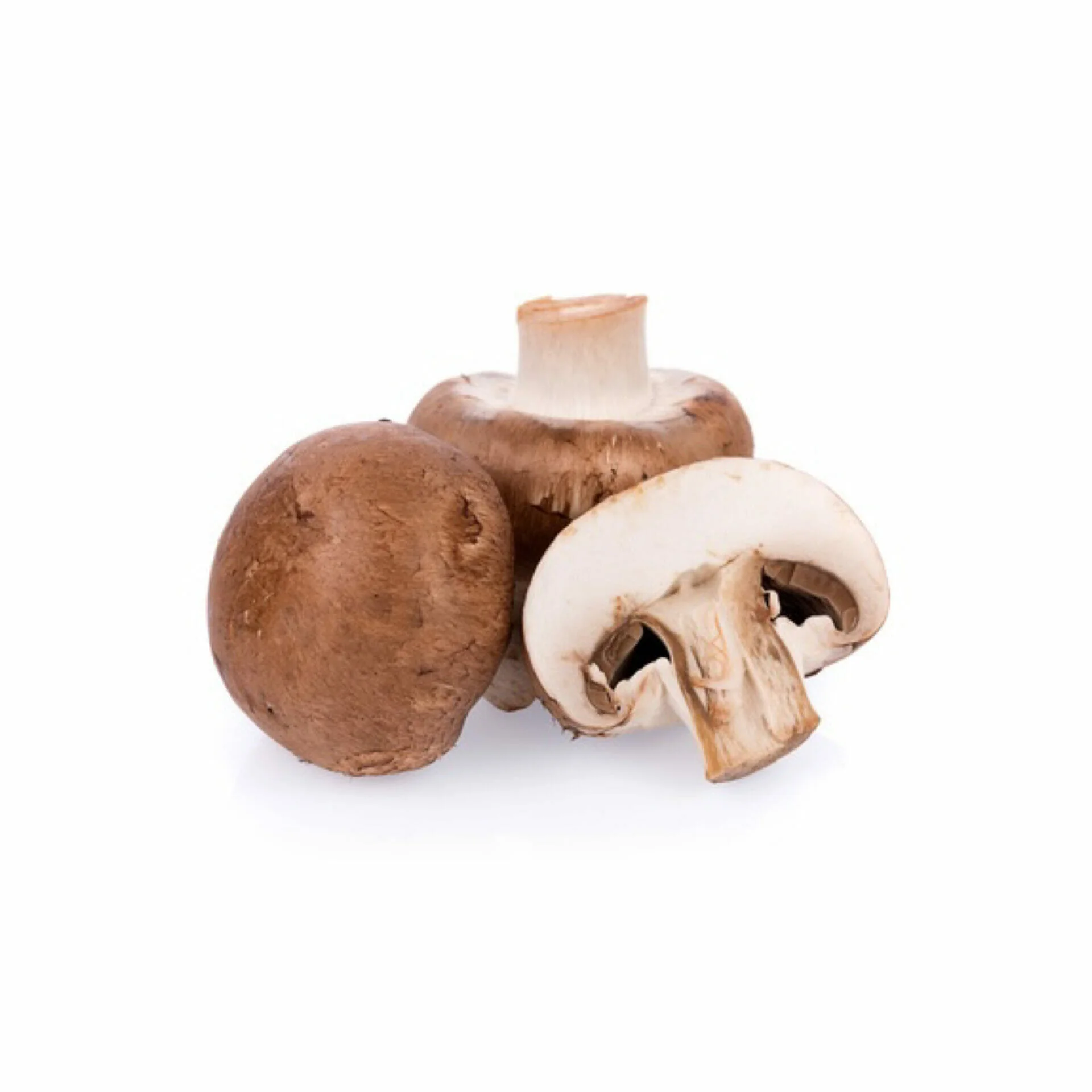 Kastanje champignon doosje - Afbeelding 2