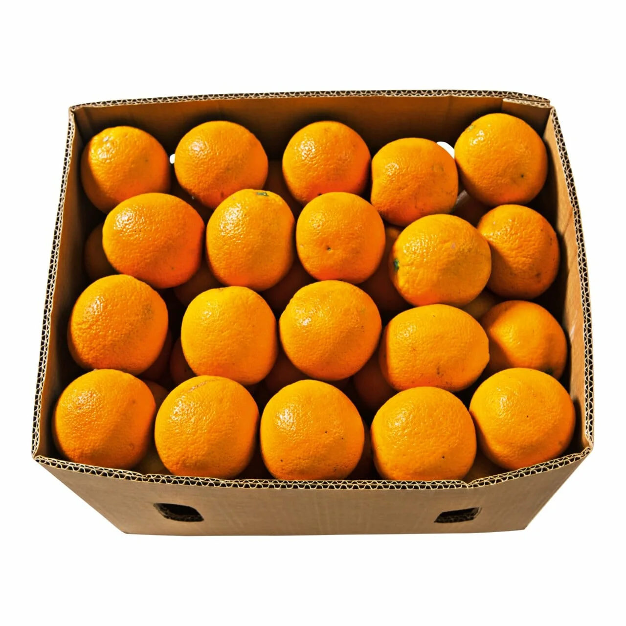 Perssinaasappels 10 kilo