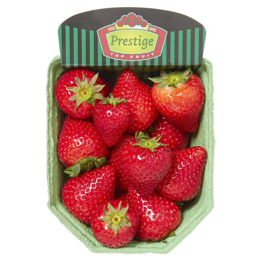 Aardbei NL extra Mooi! 500 gram