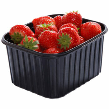 Aardbei Holland 500 gram 3 dozen
