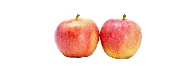 gala appels kilo €2