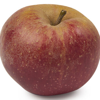 Goudreinet appel 1 kilo