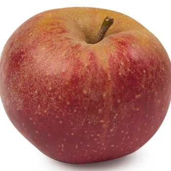 Goudreinet appel 1 kilo