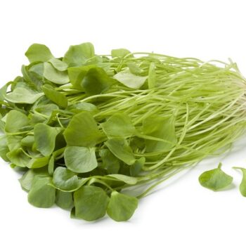 Postelein winteroogst per 100 gram